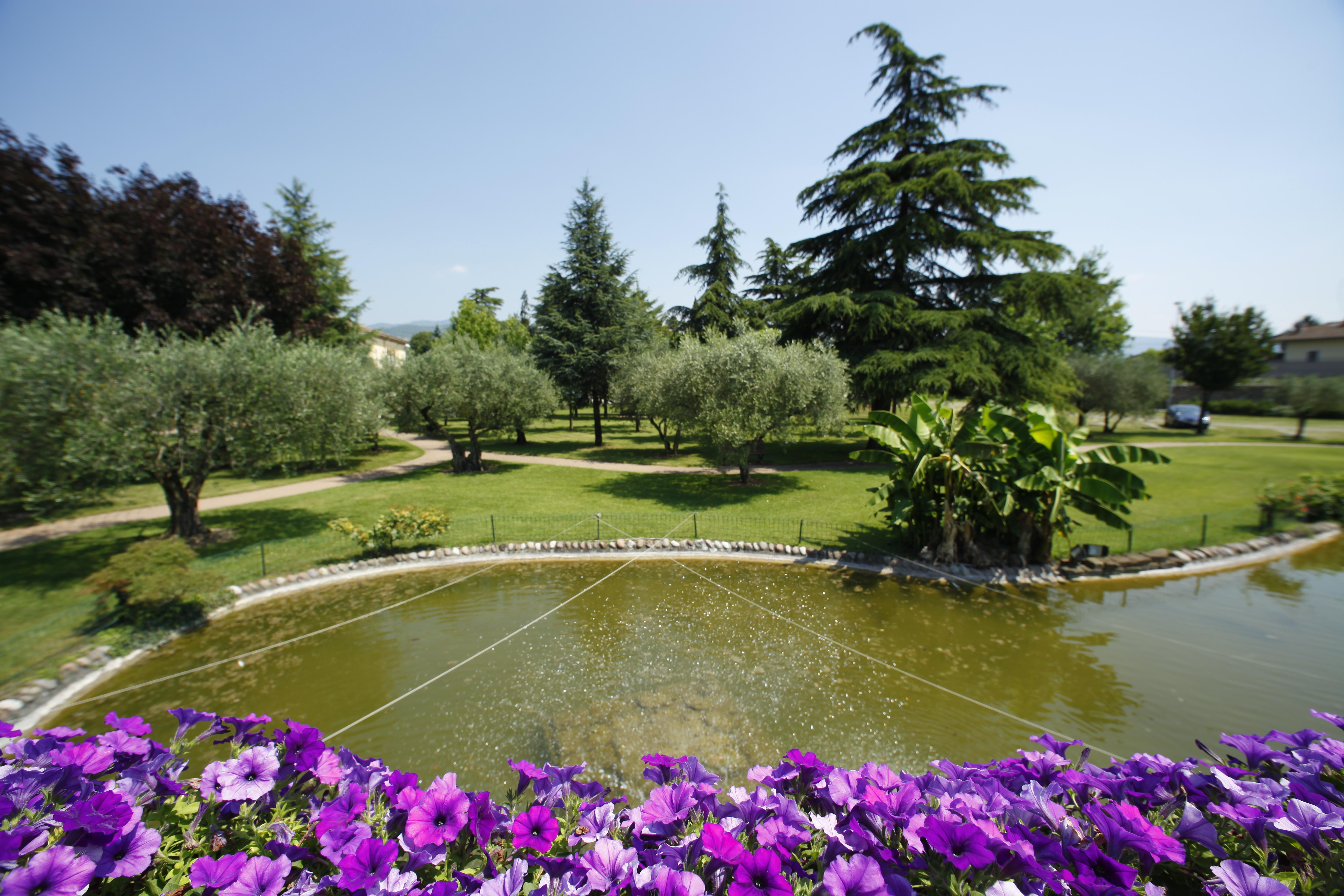 Villa Quaranta Tommasi Wine Hotel&SPA Pescantina Esterno foto